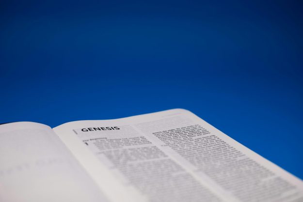 pexels-yfnphilip-8735619